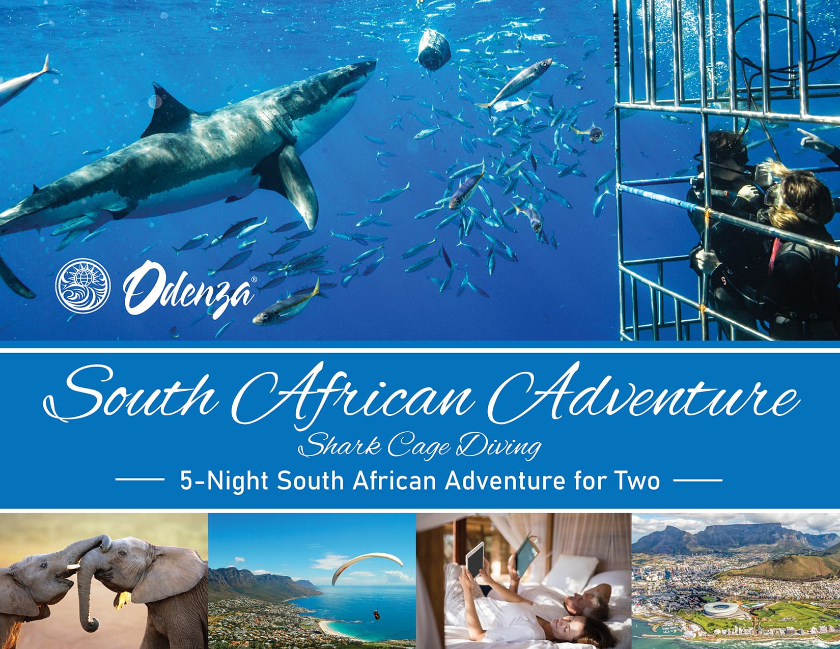 international-trips-south-african-adventure